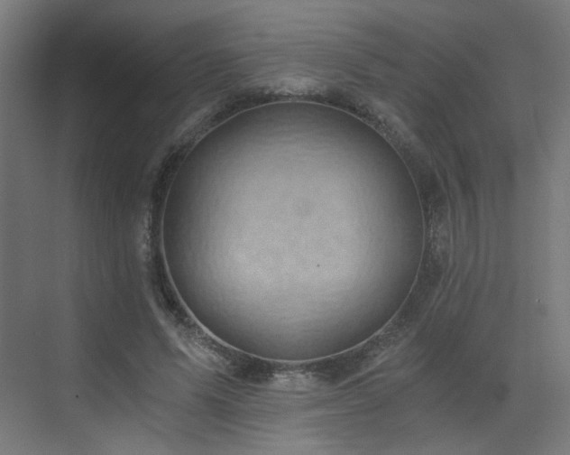X0000072980591200607211251