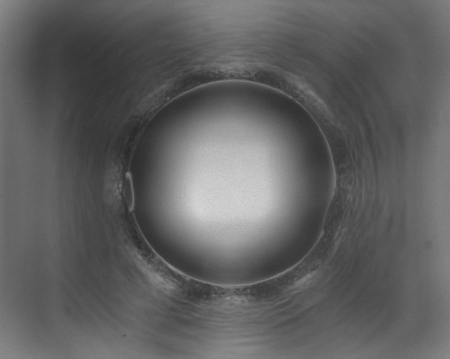X0000072980593200607211251