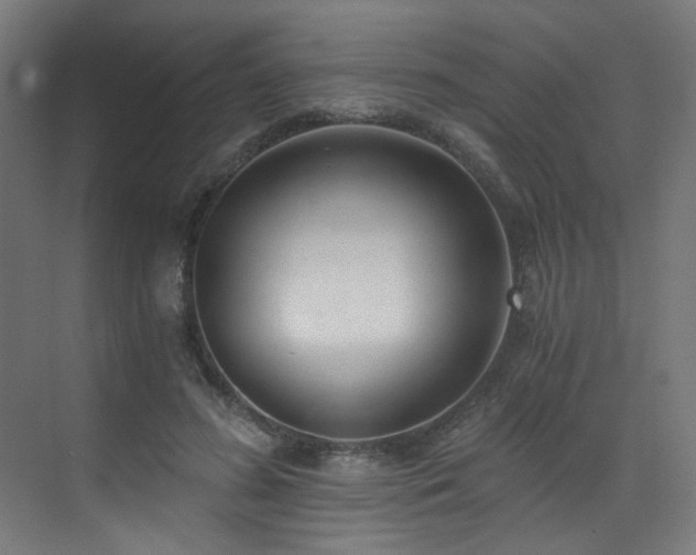 X0000072980596200607211251