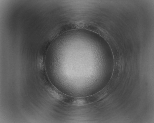 X0000072980610200607211251