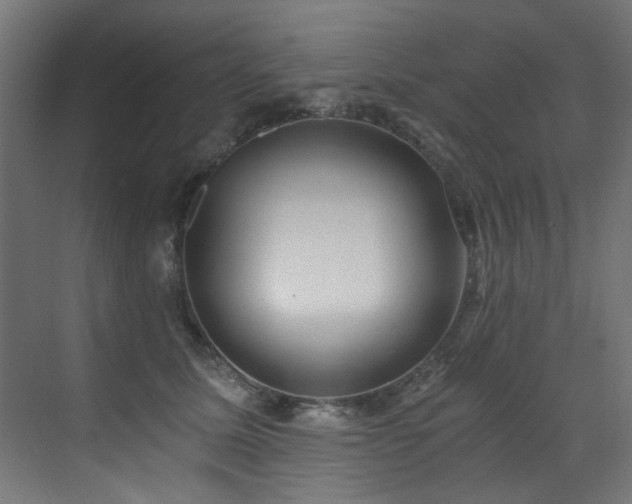 X0000072980611200607211251