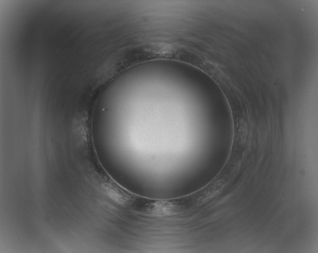 X0000072980612200607211251