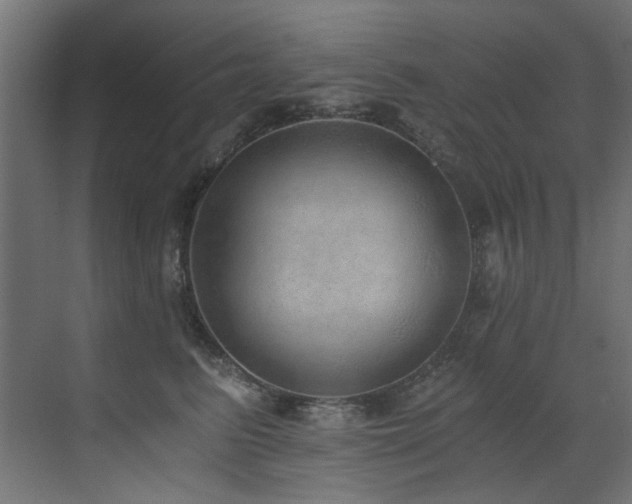 X0000072980615200607211251
