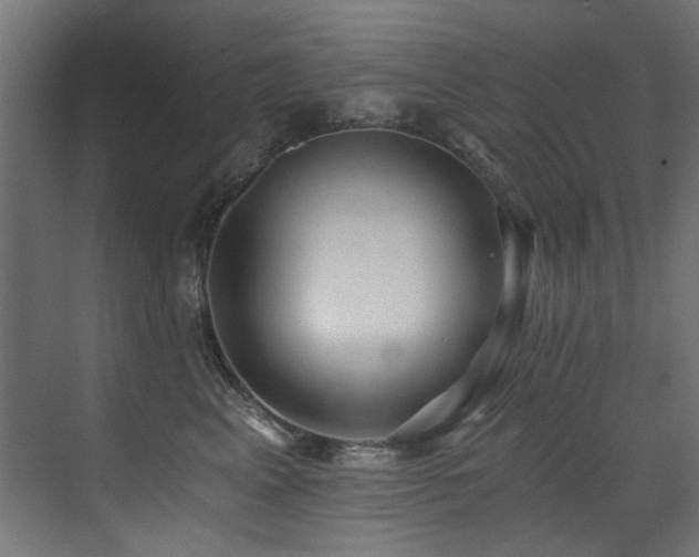 X0000072980617200607211251
