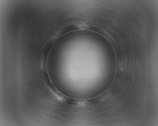 X0000072980618200607211251