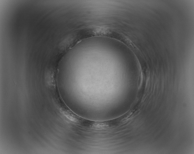 X0000072980619200607211251