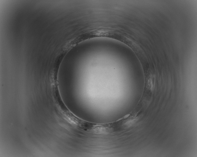 X0000072980620200607211251