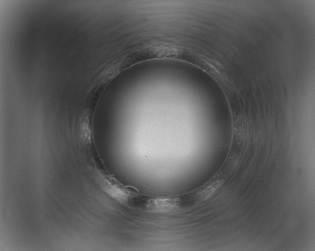 X0000072980622200607211251