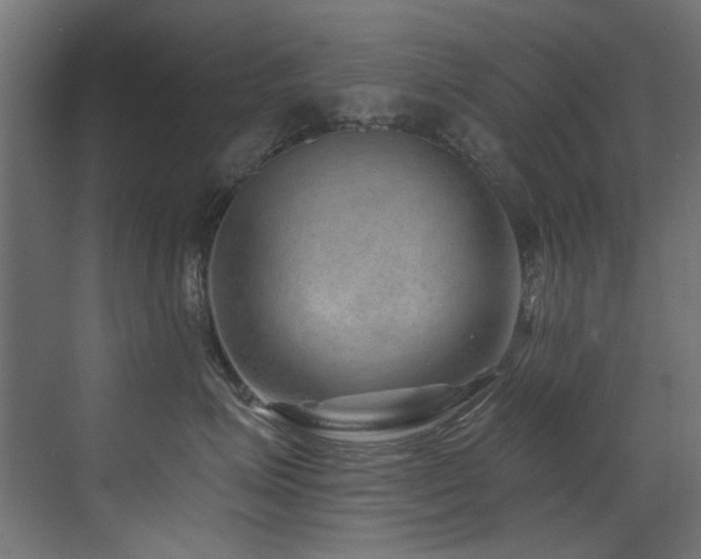 X0000072980623200607211251