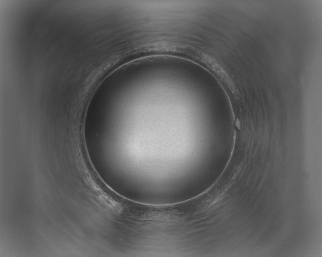 X0000072980625200607211250