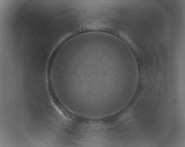 X0000072980626200607211250