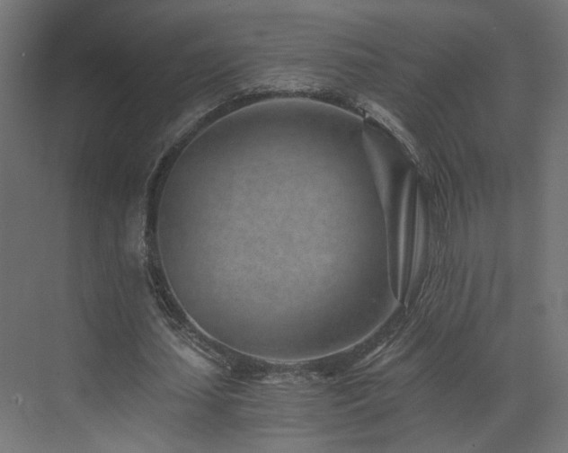 X0000072980627200607211250