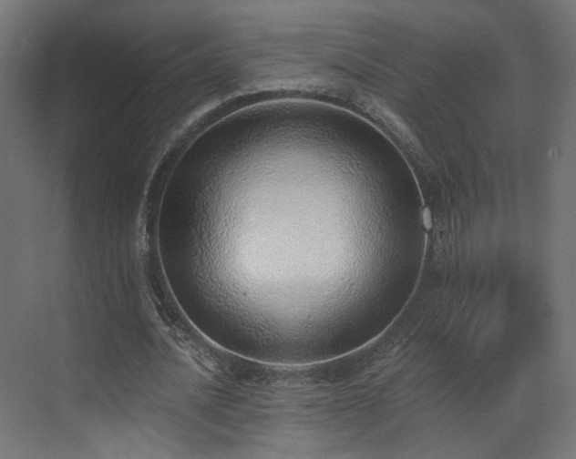 X0000072980628200607211250