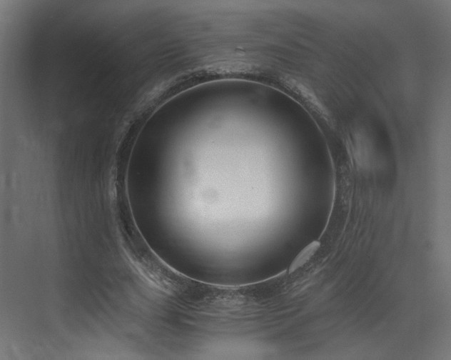 X0000072980631200607211250