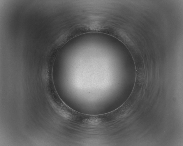 X0000072980639200607211250