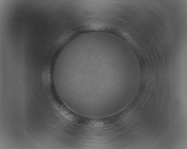 X0000072980640200607211250