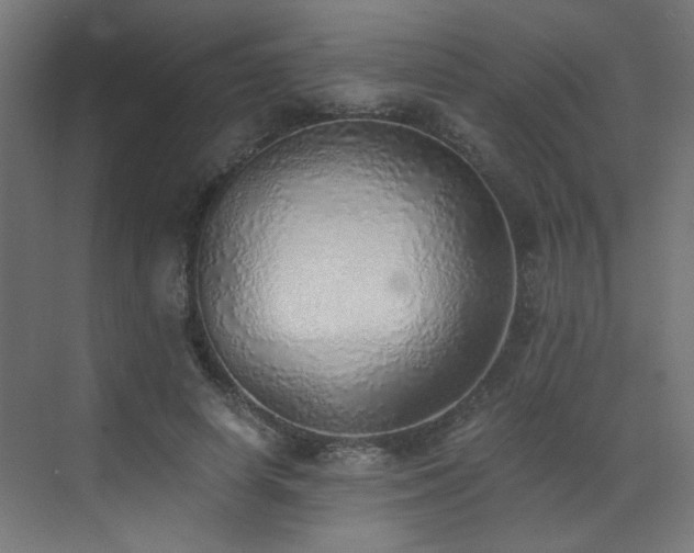 X0000072980642200607211250