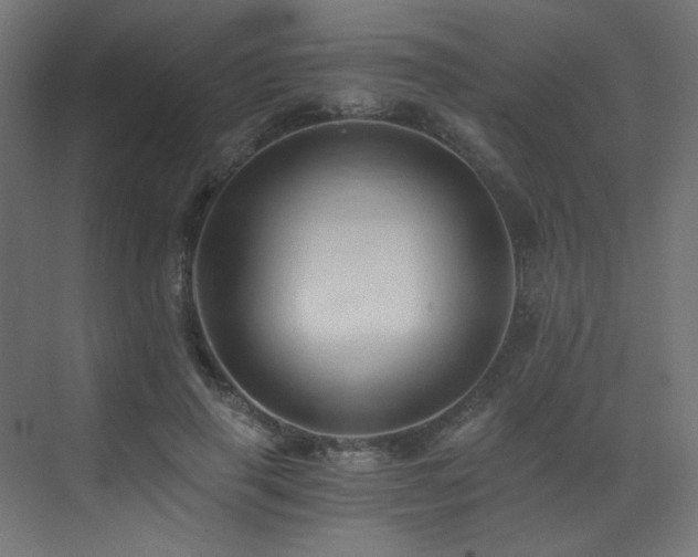 X0000072980645200607211250