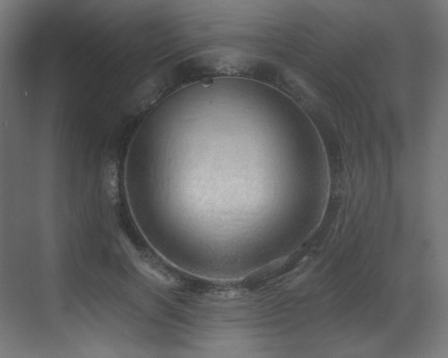X0000072980646200607211250