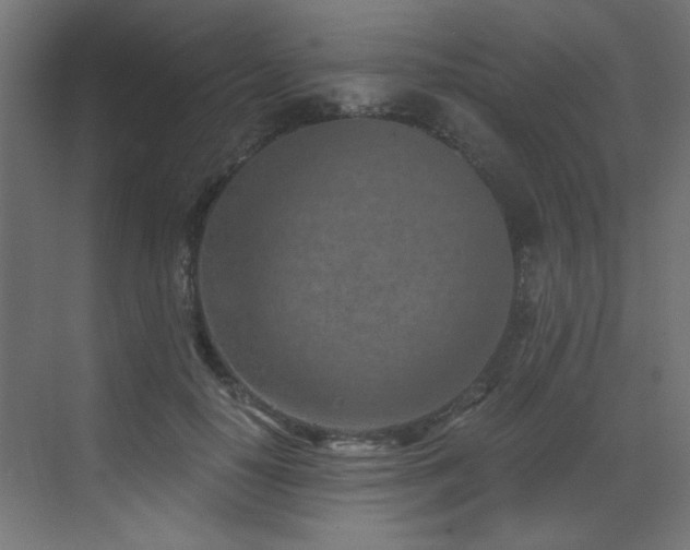 X0000072980650200607211250