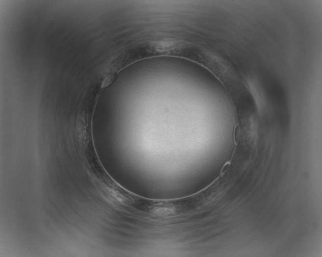X0000072980653200607211250