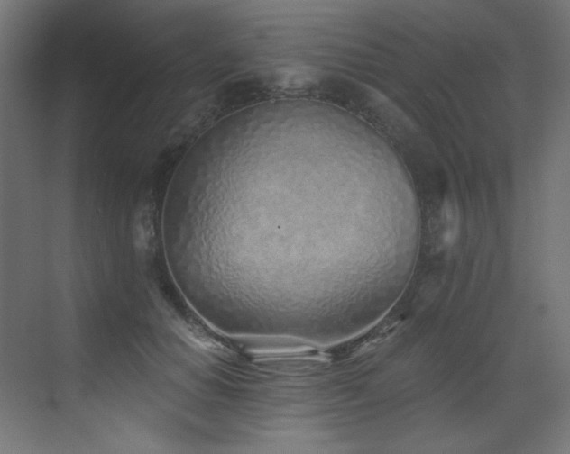 X0000072980654200607211250