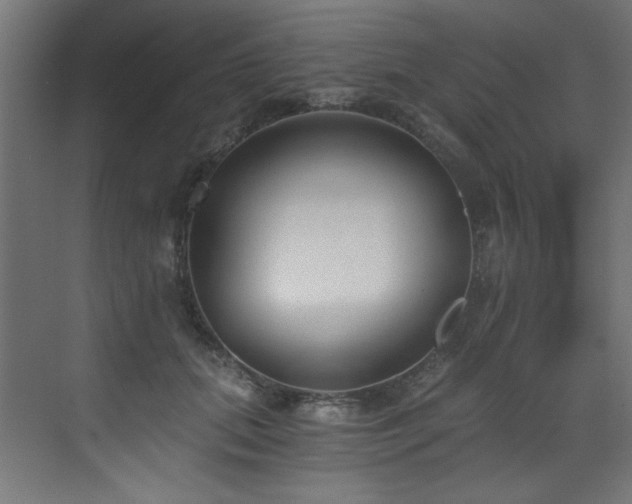 X0000072980655200607211250