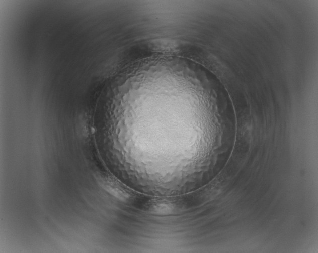 X0000072980658200607211250