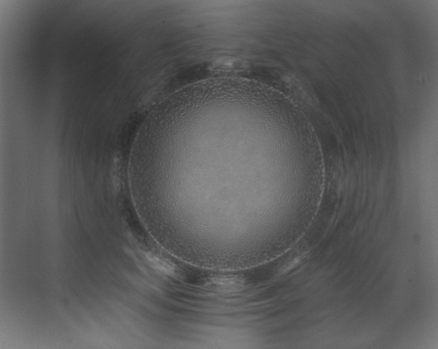 X0000072980659200607211250