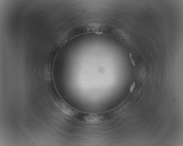 X0000072980661200607211251