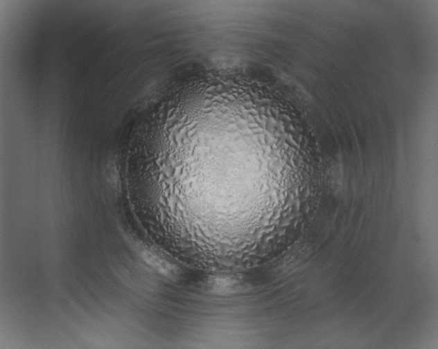 X0000072980662200607211251