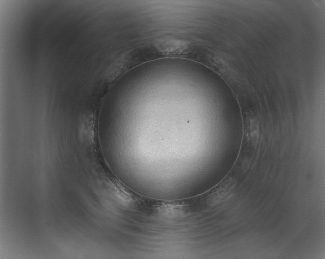 X0000072980664200607211251