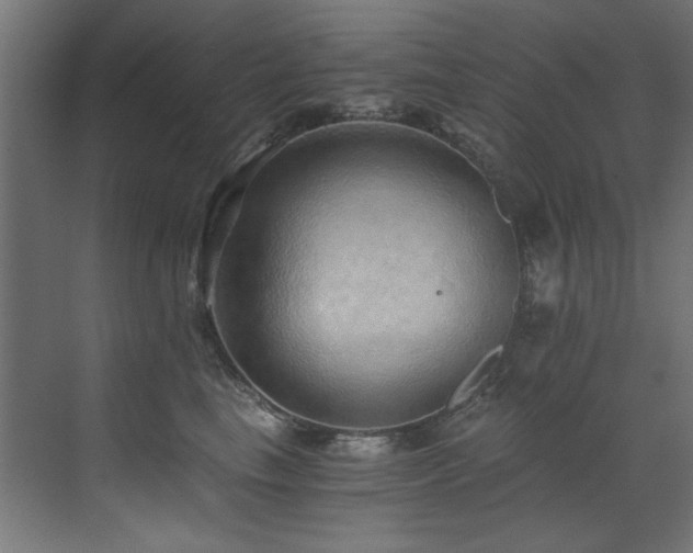 X0000072980665200607211251