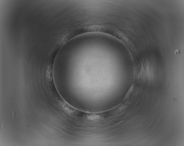 X0000072980669200607211251