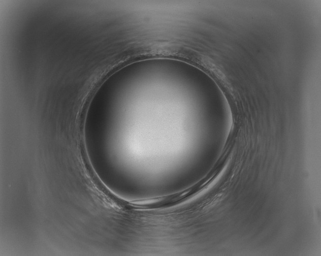 X0000072980673200607211250
