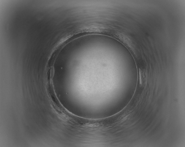 X0000072980675200607211250