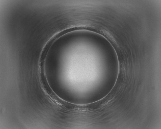 X0000072980676200607211250