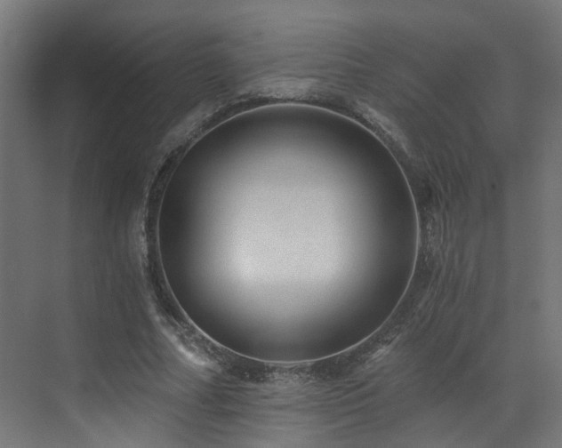 X0000072980682200607211250
