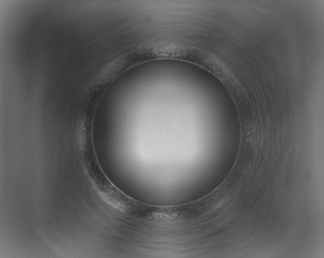 X0000072980690200607211250