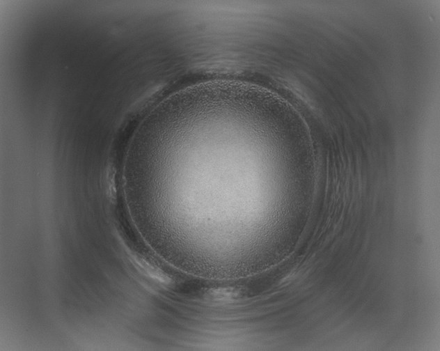 X0000072980692200607211250