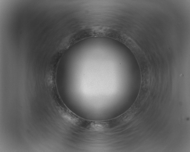 X0000072980706200607211249