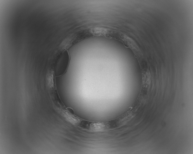 X0000072980717200607211249