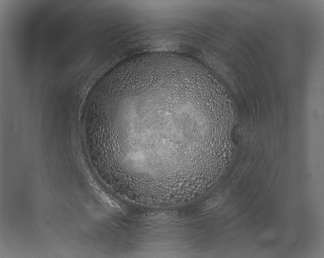 X0000072980721200607211248
