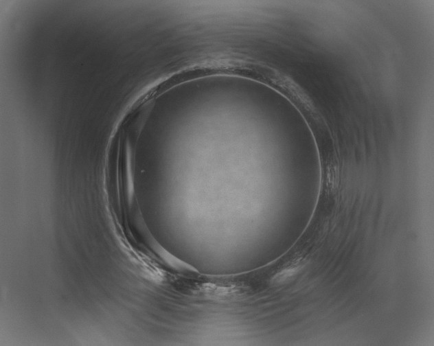 X0000072980724200607211248