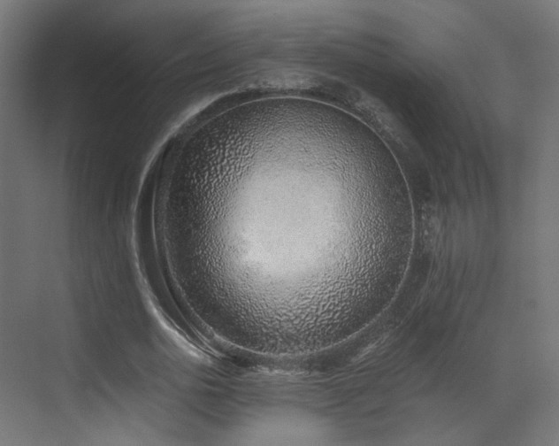 X0000072980726200607211248