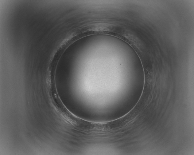 X0000072980727200607211248