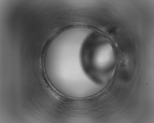 X0000072980729200607211248