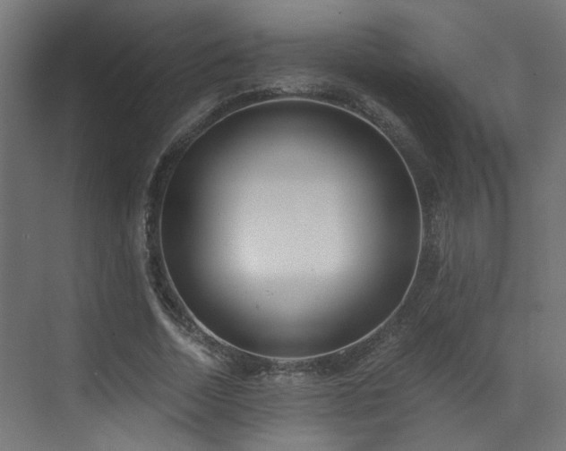 X0000072980730200607211248