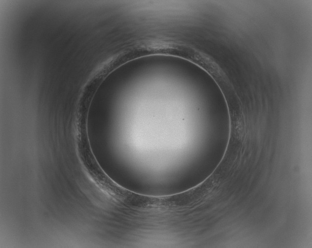 X0000072980732200607211248