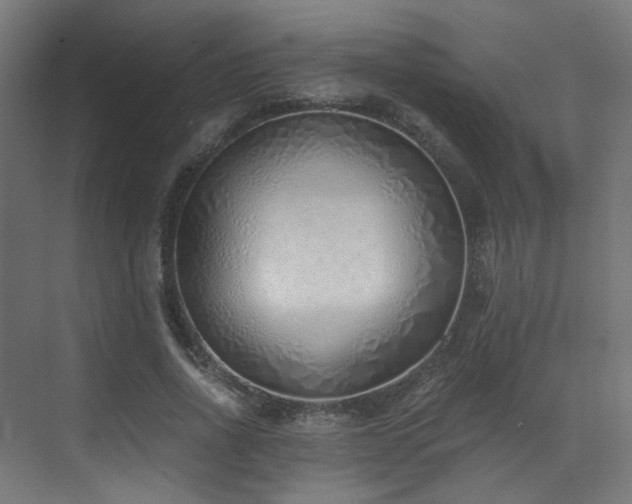 X0000072980734200607211249